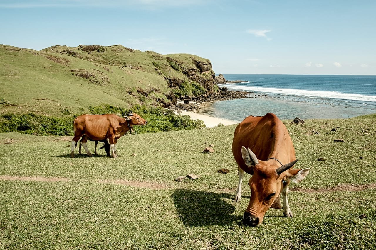 Eksplor Destinasi Lombok