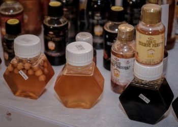 Pemuda ASEAN Harus Berperan Ciptakan Lapangan Kerja dan Terlibat dalam Isu Keberlanjutan