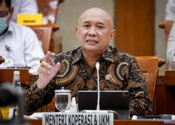 Teten Masduki Ajak Influencer Promosikan Produk Lokal