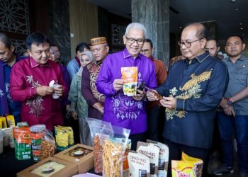 Pentingnya Kolaborasi dan Sinergi Wujudkan UMKM Berdaya Saing