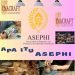 ASEPHI Sebagai Wadah Bagi Pelaku Usaha Kerajinan di Indonesia