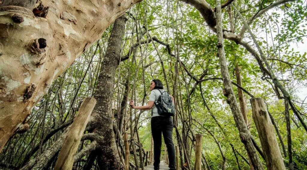 Pariwisata Berkelanjutan Jadi Kunci Daya Saing Indonesia