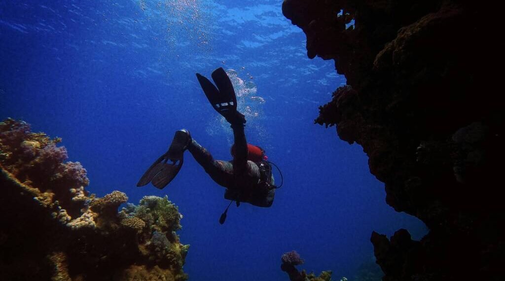 DXI 2026 Bidik Kolaborasi Global Industri Diving dan Petualangan