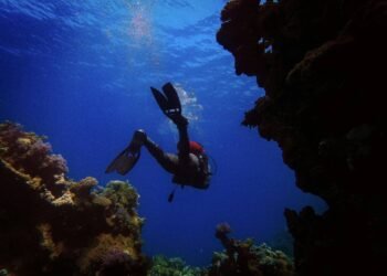 DXI 2026 Bidik Kolaborasi Global Industri Diving dan Petualangan