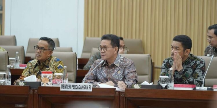 Indonesia-Canada CEPA Disetujui DPR, Pemerintah Bidik Penguatan Ekspor ke Amerika Utara