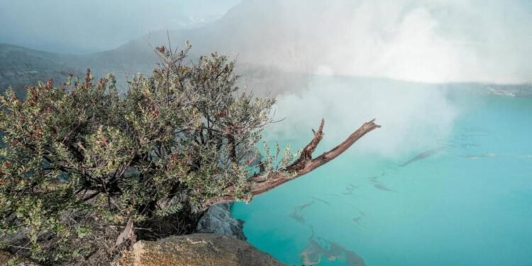 Geopark Run Series 2026–2027 Dorong Sports Tourism dan Ekonomi Daerah