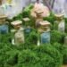 Energia Kenalkan Akademi Parfum di INACRAFT Yogyakarta