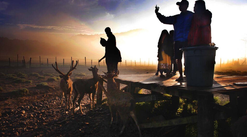 Dalam Dua Tahun, Sektor Pariwisata Serap 25,91 Juta Tenaga Kerja