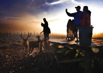 Dalam Dua Tahun, Sektor Pariwisata Serap 25,91 Juta Tenaga Kerja